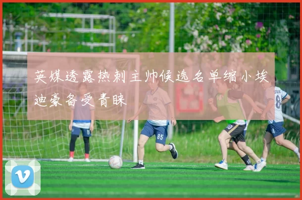 英媒透露热刺主帅候选名单缩小埃迪豪备受青睐