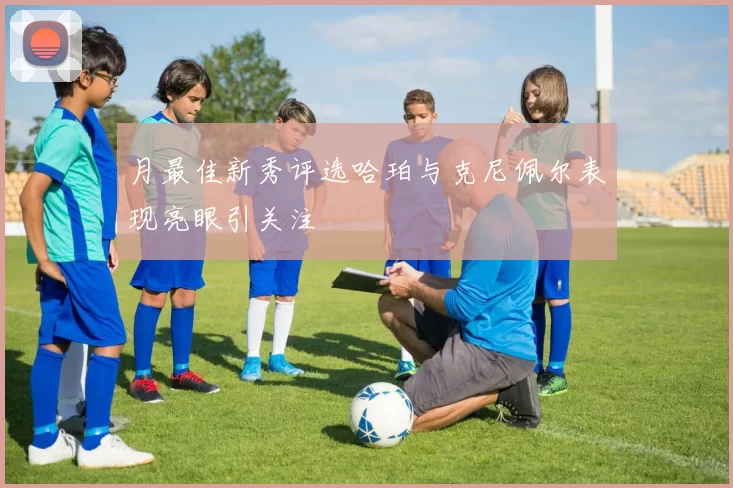 月最佳新秀评选哈珀与克尼佩尔表现亮眼引关注